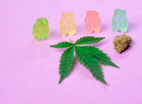 THC bioavailability in edibles